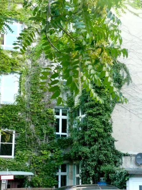 City Apartment Berlin 0*,  Tyskland